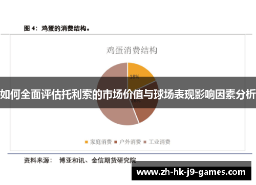 如何全面评估托利索的市场价值与球场表现影响因素分析 如何全面评估托利索的市场价值与球场表现影响因素分析