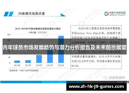 青年球员市场发展趋势与潜力分析报告及未来前景展望 青年球员市场发展趋势与潜力分析报告及未来前景展望